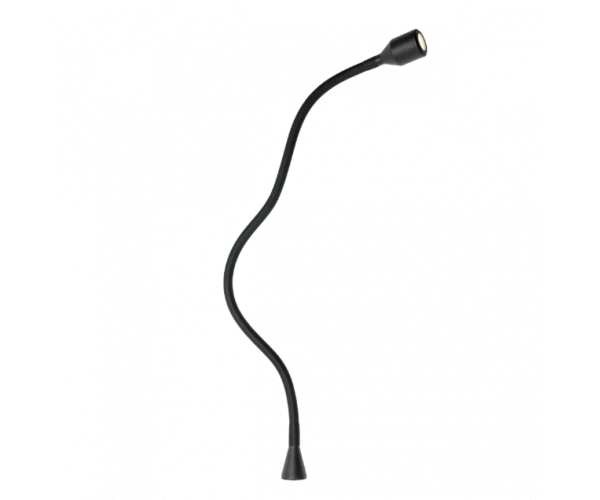 12V Xible 2W LP