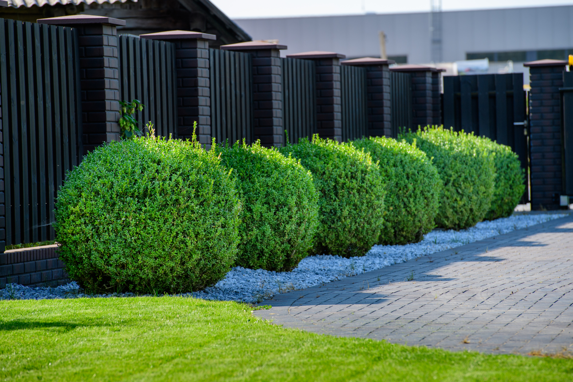 Full width project image