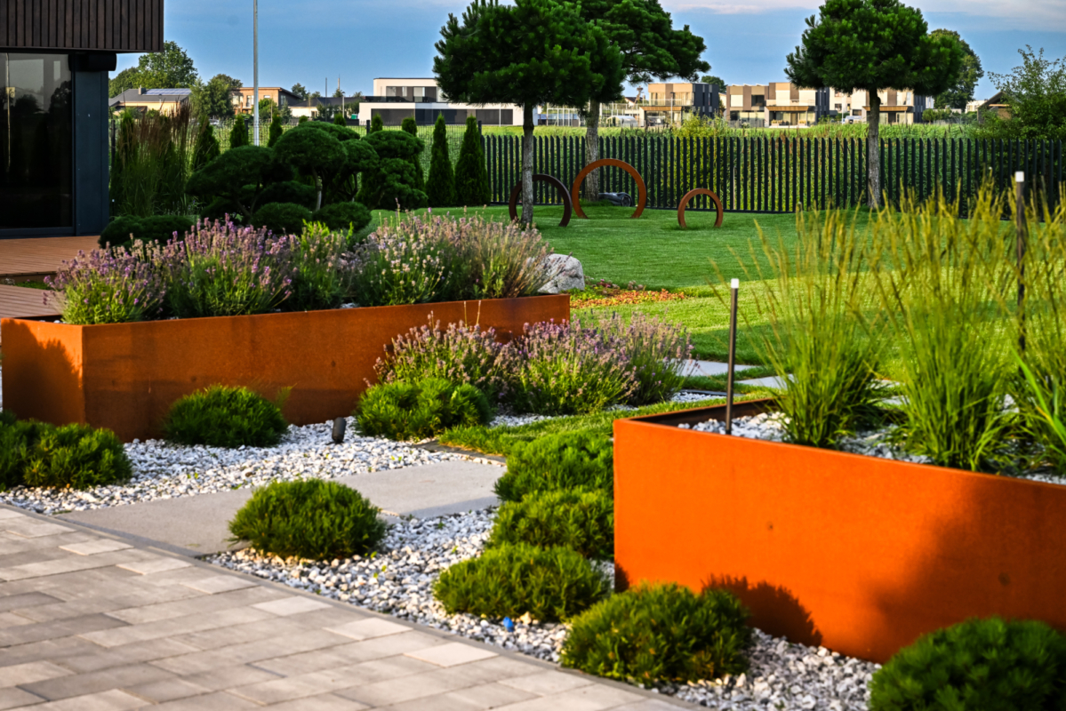 Šviesos ir žalumos dermė